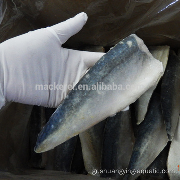 Νέα άφιξη Frozen Fish Mackerel Fillets για χονδρική πώληση